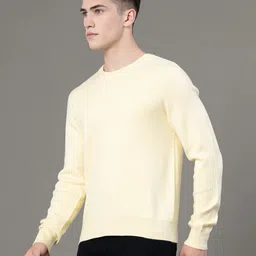 red tape Men Solid Round Neck Yellow Sweater image 2