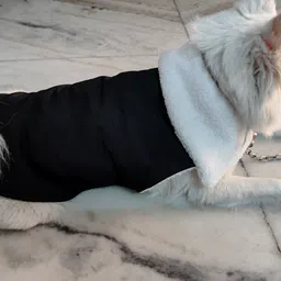 omm Winter Jacket for Dog image 3