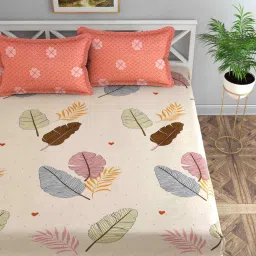 florida Off White Floral 144 TC Cotton Queen Sized Bedsheet Bedsheet 2 Pillow Prime Collection image 1