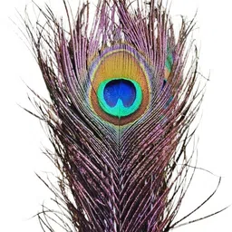 vrindmart Pack of 4 Decorative Feathers image 2