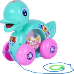 asian Rolling Duck-Colour As Per Stock-picture-27