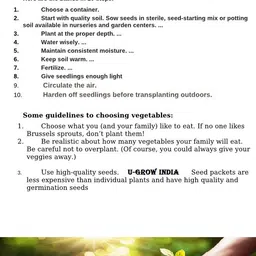 u-grow india GREEN SOYA SAG Seed image 4