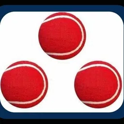 jai shri New-New-Tennis _172Pack of 6 Tennis Ball-picture-43
