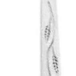 farque Designed Stainless steel Table spoon & Dinner Spoon set (12 Pcs) Disposable Stainless Steel Tea Spoon, Table Spoon, Coffee Spoon, Serving Spoon, Soup Spoon Set image 3