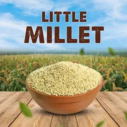 vinayak herbals VINAYAK HERBAL_LITTLE MILLET_ Kutki (Hindi), Chama (Malayalam), Suan (Oriya). Seed-picture-25