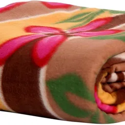 sweep Printed Double Fleece Blanket for AC Room-picture-16