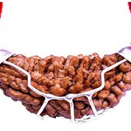 navyaksh Original Nepali 1 Mukhi Original with Lab Certificate One Face Rudraksha Wood-picture-19