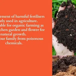 vermi compost Organic vermicompost Manure, Potting Mixture, Fertilizer image 2