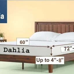 dahlia 200 TC Polycotton Queen Printed Fitted (Elastic) Bedsheet image 2