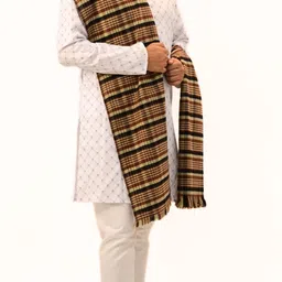 KAVIM Wool Checkered Men Shawl image 3