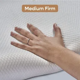 tud Curvy Rec Memory Foam 24 x 16 Inch Pillow image 3