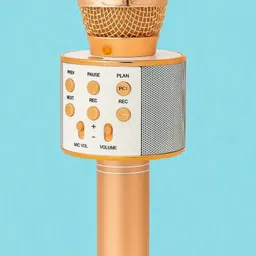 nilesawar X399 Portable Karaoke System with Wireless Microphone Microphone image 1