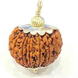 ceylonmine01 12 Mukhi Rudraksha Original Certified With Capping Silver Polish pendant Silver Wood Pendant image 2