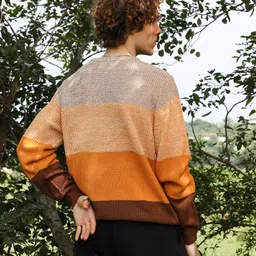 campus sutra Men Colorblock Crew Neck Multicolor Sweater image 3