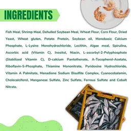 taiyo pluss discovery Turtle Food 100g-1 Vegetable 5.0E-4 kg Dry Young Turtle Food image 3