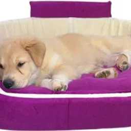 havens dream Dog Bed, Sofas Bed & Chairs Bed With Collur XXXL Pet Bed-picture-17