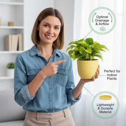 snshopee 5 Beautiful Wave Matte Finish planters flower plant pots gamla gardening Plant Container Set image 3