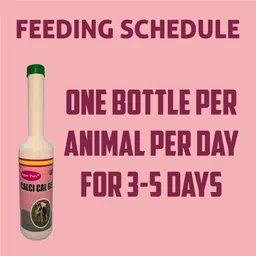 super pure CALCI Cal Gel | Calcium Gel for Cows, Buffaloes, Goats | Boosts Bone Strength Pet Health Supplements image 4