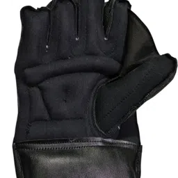 azad sports gallery WEEKET-KEEPING GLOVES WITH INNER GLOVES, CATCH WITH TREND Wicket Keeping Gloves image 2