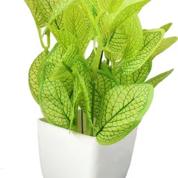 bk mart Natural Looking Money Plant Bonsai Artificial Plantwith Pot image 2