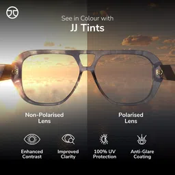 john jacobs Polarized, UV Protection Cat-eye Sunglasses (53) image 3
