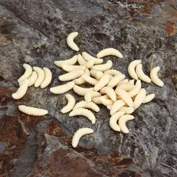 houseofcommon Soft Bait Silicone Fishing Lure image 3