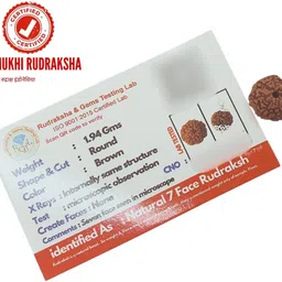 a1 yashvriddhi 7 Mukhi Rudraksha Nepal Original seven Face Rudraksha Metal Capped Beads Wood Pendant-picture-48