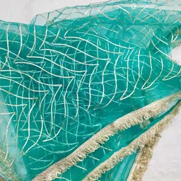 suravi Net Self Design Light Blue Women Dupatta-picture-17