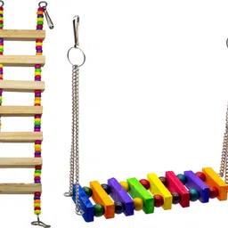 Climbing Perch Bird, Guinea Pig, Hamster, Mouse, Rabbit, Squirrel-image-55