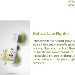 botanical luxuriate Tea Tree Shampoo Anti-Lice And Nits Shampoo image 3