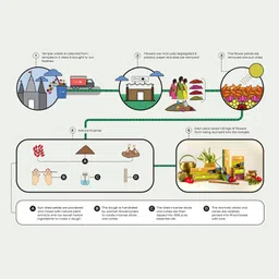 phool Mosquito Repellent Cone Eucalyptus & Citronella|Incense Combo Eucalyptus Dhoop image 2
