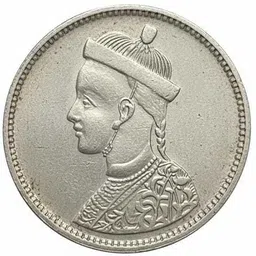 vkcoins China,Tibet 1 Rupee - In the name of Guangxu Rare Silver Plated Coin Modern Coin Collection-picture-22