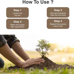 nurture soil Vermicompost 1 kg | 100% Organic Soil Enricher | compost for plants home garden Fertilizer image 3