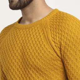 club york Men Solid Round Neck Yellow Sweater image 4