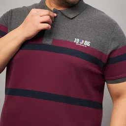 austivo Men Striped Polo Neck Cotton Blend Multicolor T-Shirt image 5