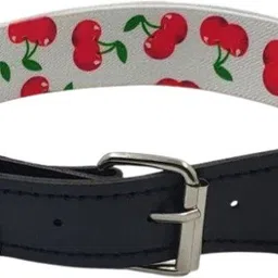 zacharias Boys & Girls Casual White Nylon, Artificial Leather Belt-picture-10