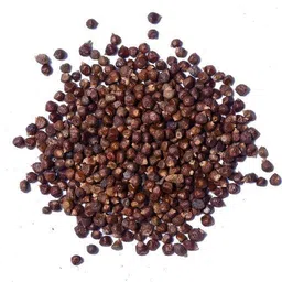 creative nature Tumbru Beej/Beej Tomar/Timur/Tomru Seeds/Nepali Dhania/Zanthoxylum Alatum (100 Gram Per Pack) Seed-picture-12