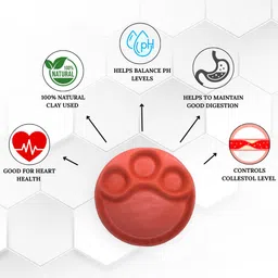 terra charms Earth Essence Bhojan Thaal 12" Dinner Plate image 2