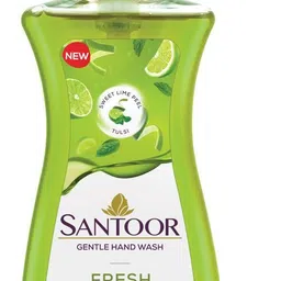 Gentle Hand Wash Fresh Pack Of 1 Hand Sanitizer-image-0