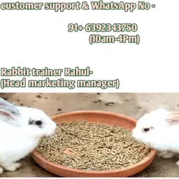 herbal sinovet india Sino-FA5M Rabbit 5 kg (2x2.5 kg) Dry Young Rabbit Food image 5