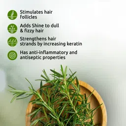 arcanuy Hair Growth Rosemary Water Spray image 2