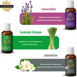 exotic aromas Essential Oil Pack of12 Lavender Rose Rosemary Orange Jasmine TeaTree Eucalyptus image 5
