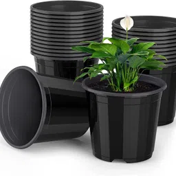 6 inch black nursery pot Plant Container Set-image-62