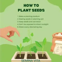 semina vita ™ 10 variety flower seeds combo pack Seed Seed image 3