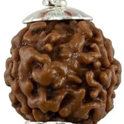 urbanzebra 3 Mukhi Rudraksha Nepal Lab Certified, 100% Original Rudraksha For Men & Women Silver Wood Pendant-picture-19