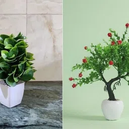 Artificial Plant for Home & Office Decor | Small Decorative Plant with Pot Bonsai Artificial Plant with Pot-image-90