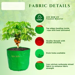 terragua (Pack of 2) 14×14 Grow Bags | Round Fabric Planter Pots for Terrace Grow Bag image 4