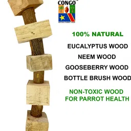 congo natural parrot treat 12 inch Swing with Dotted Perch Special Made Wooden Chew Toy For Bird image 3