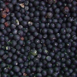 green india Asparagus Racemosus, Satavar, Shatavari, Shatamull, Shatawari Seeds For Gardening - Pack Of 20 Seeds Seed-picture-19