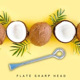 jayasrinivasa Stainless steel Coconut Breaker Coconut Stainless steel Rod Spoon Serving Set image 2